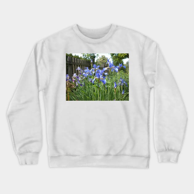 Iris at the garden fence Crewneck Sweatshirt by Gourmetkater